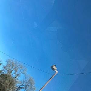 Meet your Posher, Caleb